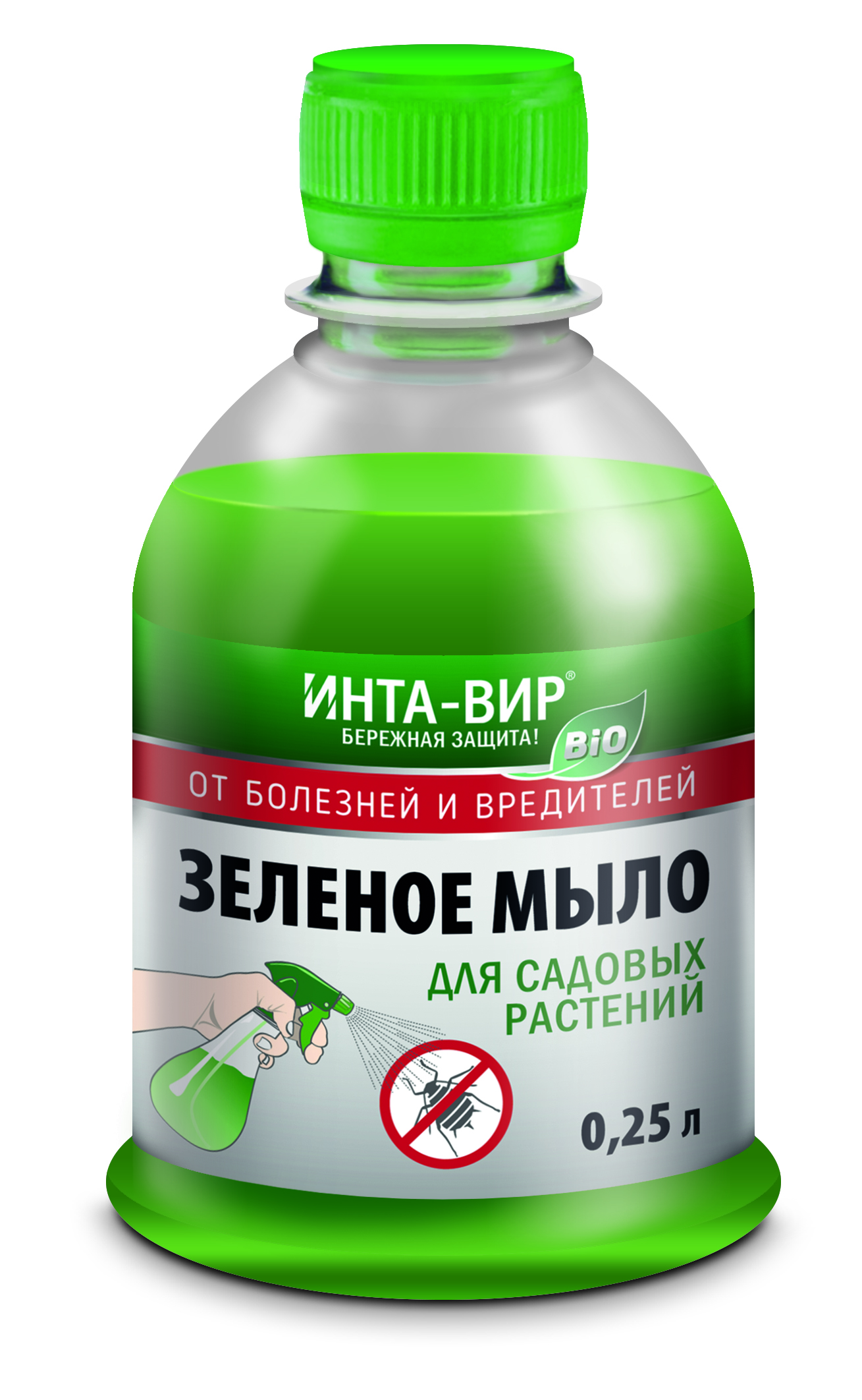 Основное изображение