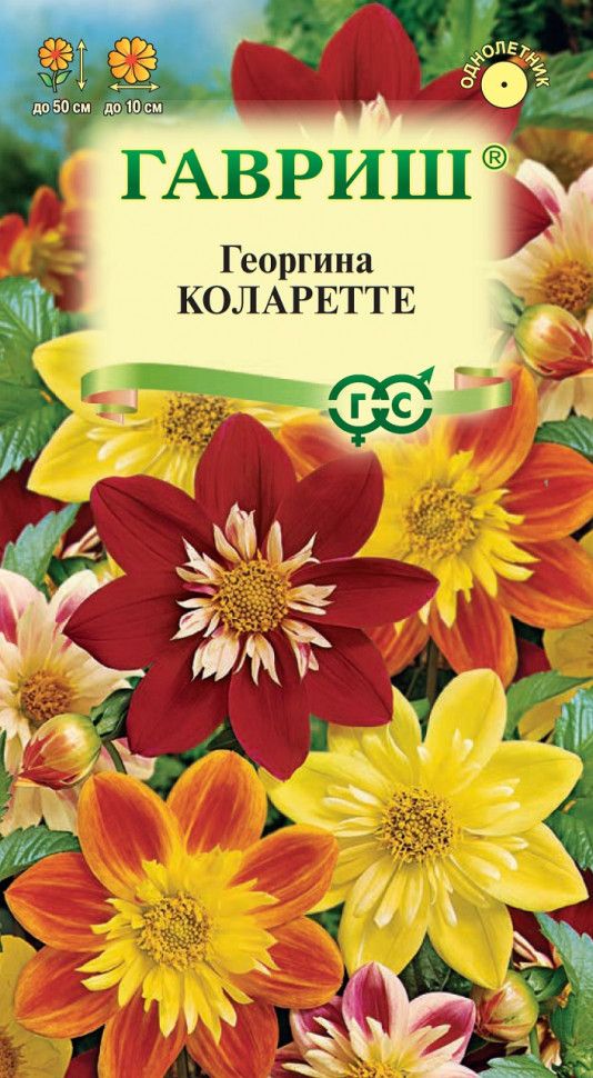 Семена георгина Коларетте 0,2г Гавриш 