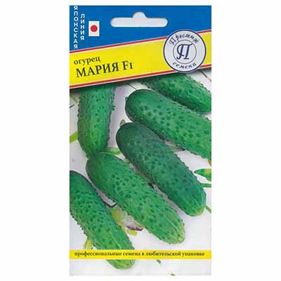 Семена Огурец партенокарпический Мария F1 7 шт Престиж 