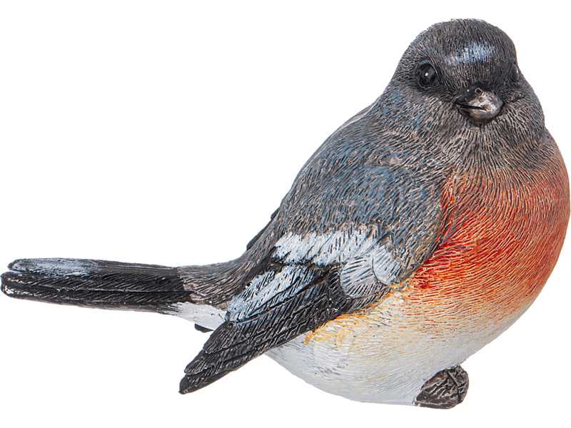 ОсновноеИзображение