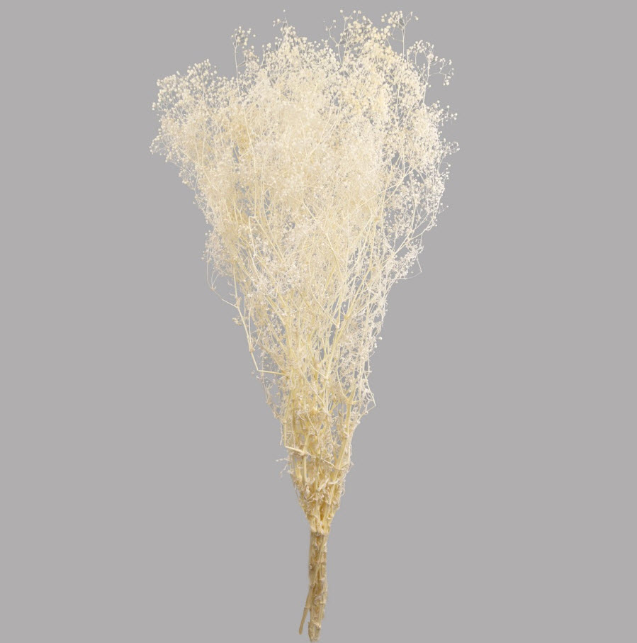 Сухоцветы Гипсофилы набор 50гр 60см, белый по цене 