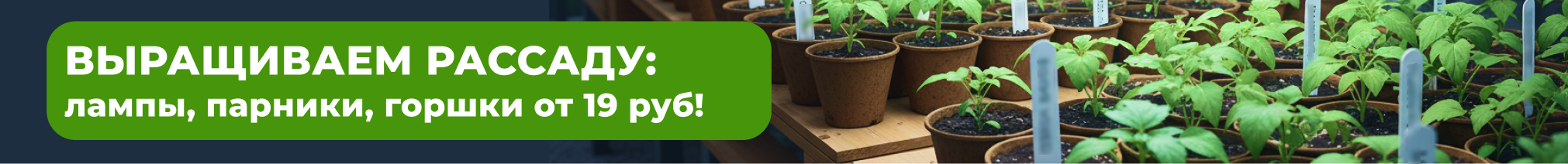 Выращиваем рассаду: лампы, парники, горшки от 19 руб!