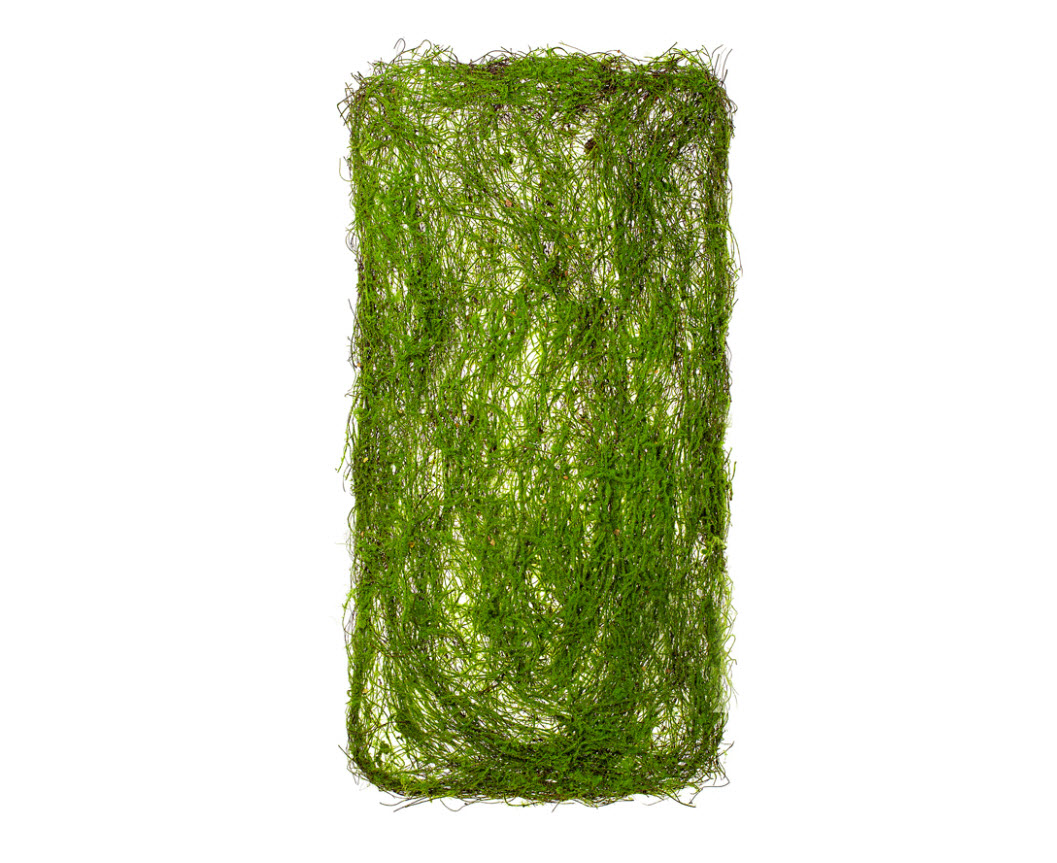 Сухоцветы коврик декоративный Папоротник 35х90см по цене 