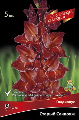 Луковица Гладиолус крупноцветковой Старый саквояж12/14 3 шт Поиск 