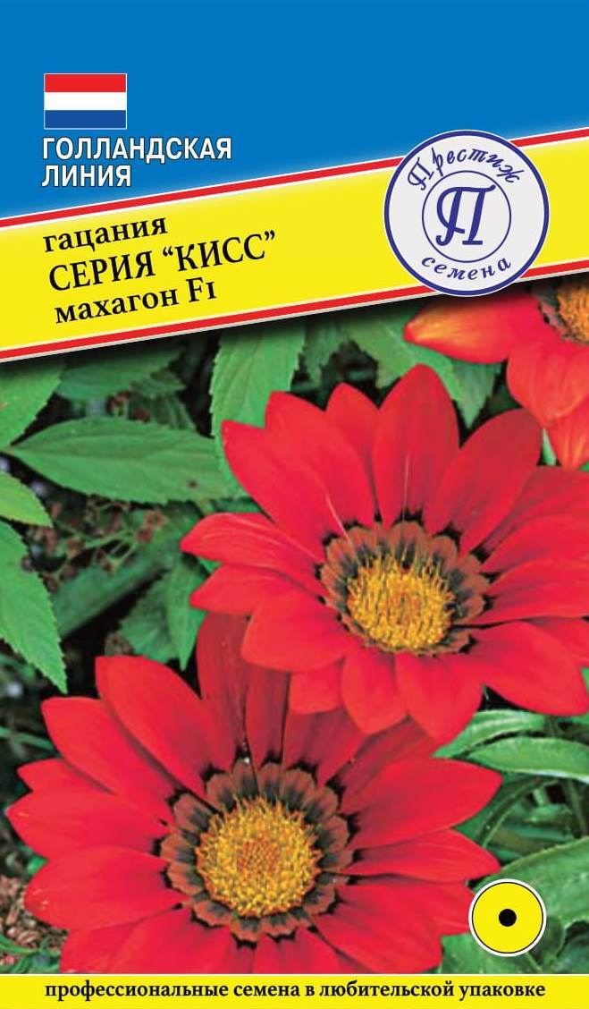 Семена Гацания Кисс F1 Махагон, 5 шт Престиж 