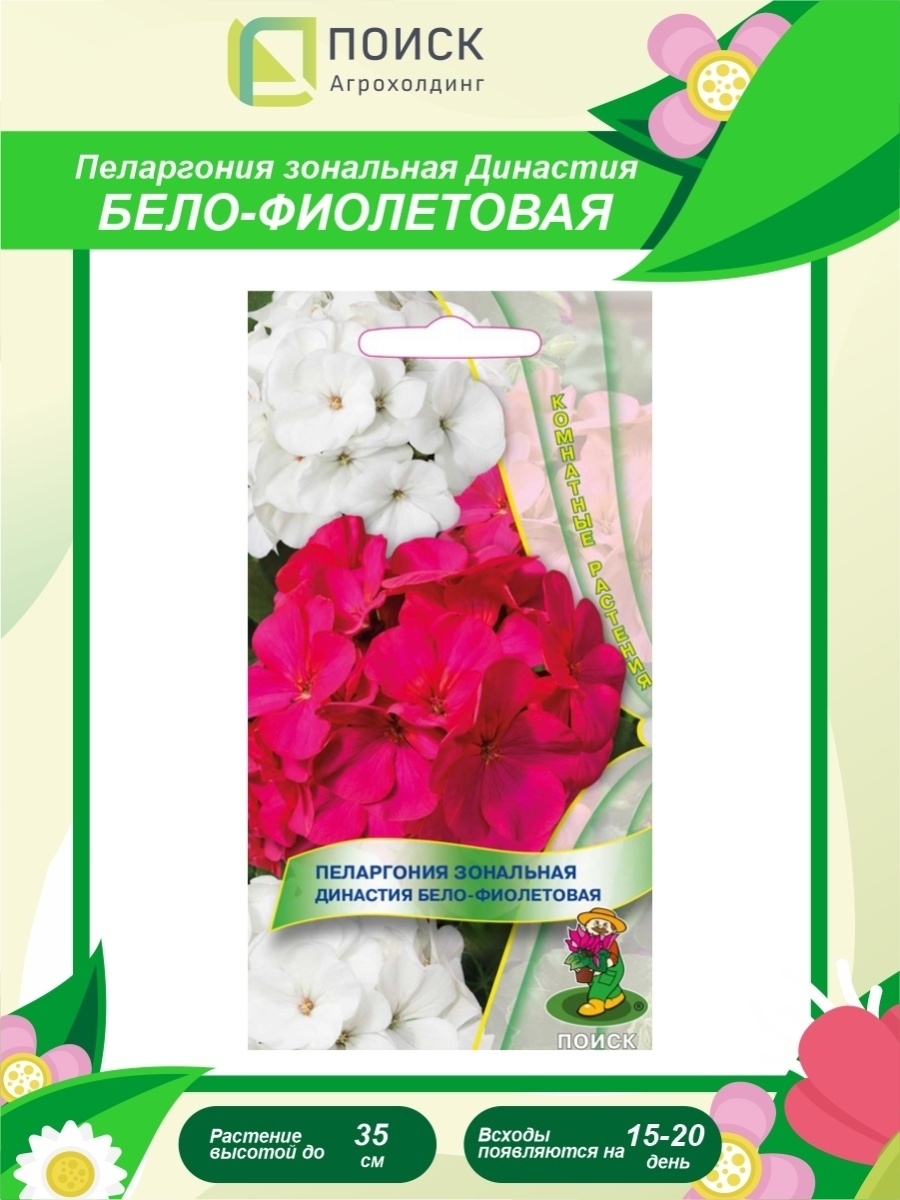 Семена пеларгония зональная Династия бело фиолетовая 5шт Поиск 
