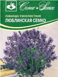 ОсновноеИзображение