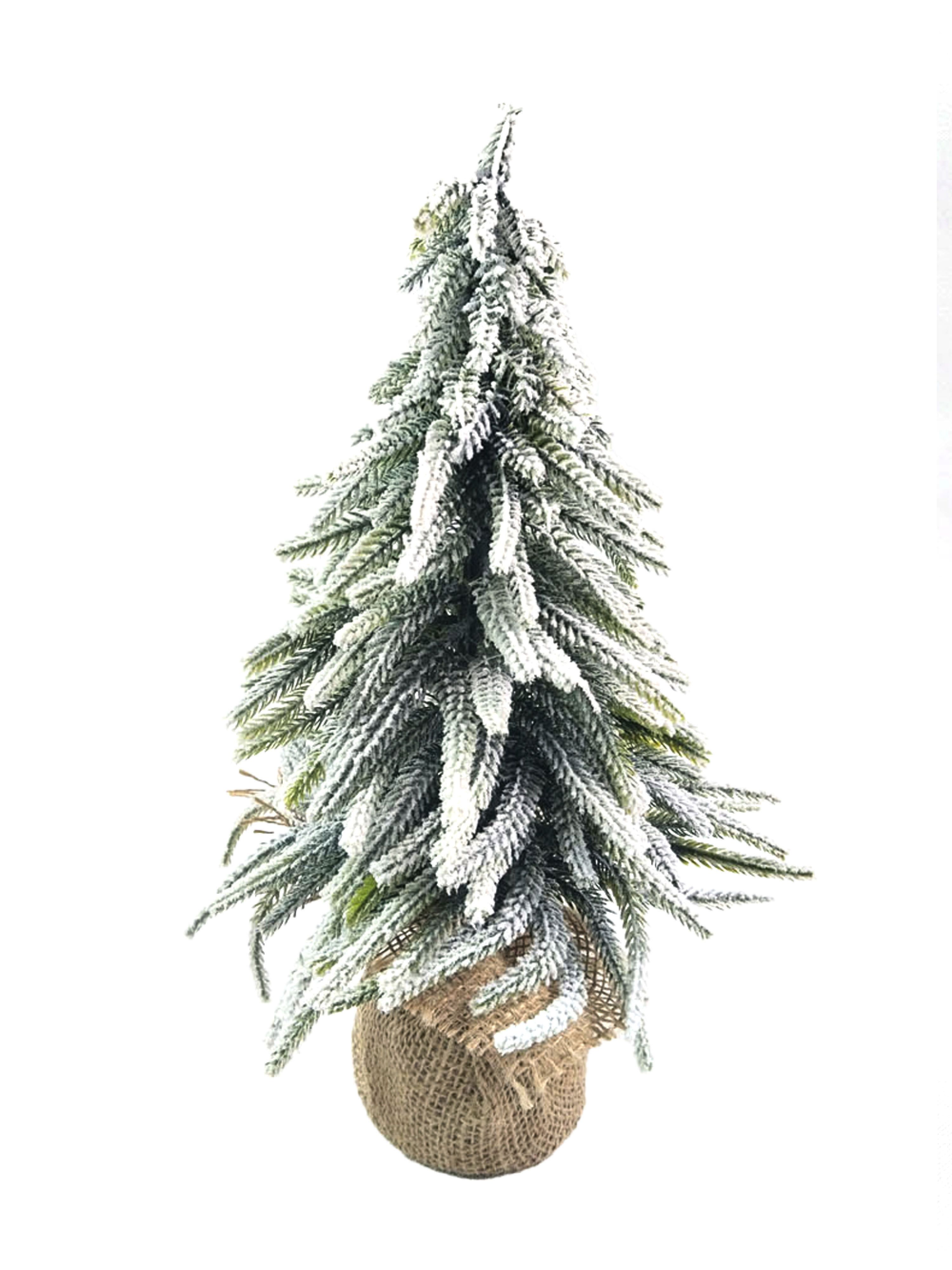 ОсновноеИзображение