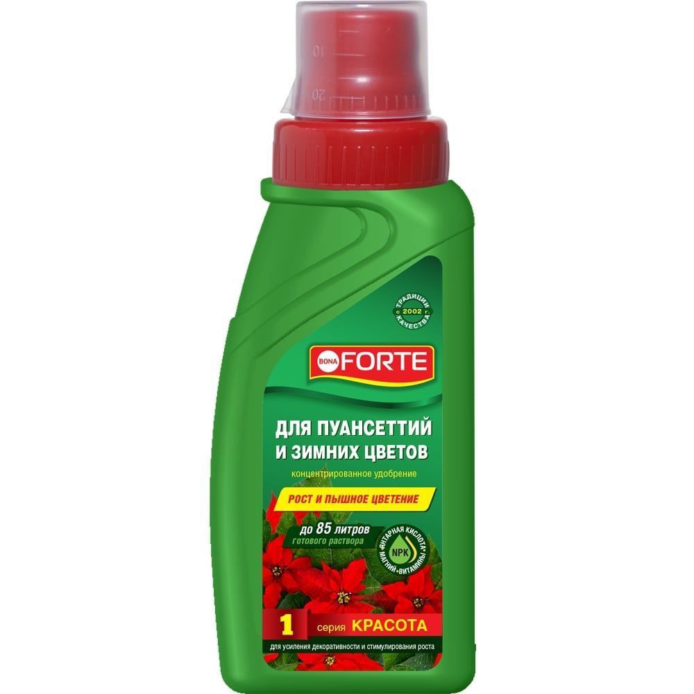 Основное изображение