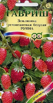 Семена Земляника Руяна ремонтантная безусая 0,03 г Гавриш 