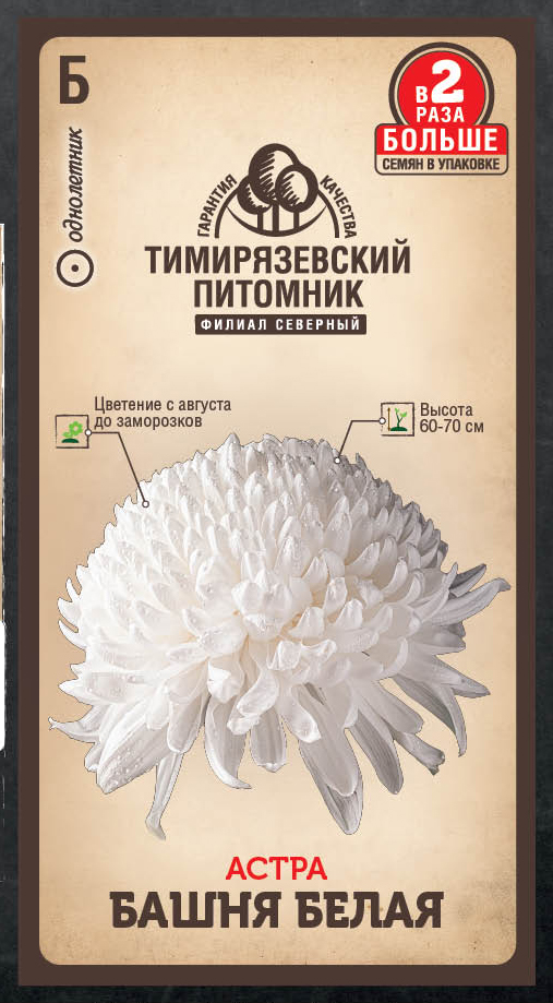 Семена цветы астра Башня белая (пионовидная) Тимпит 0,4г Двойная фасовка 