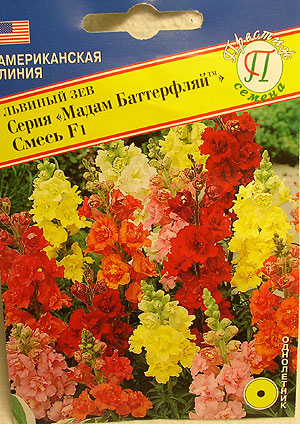 Семена львиный зев Мадам Баттерфляй F1 смесь 10шт Престиж 