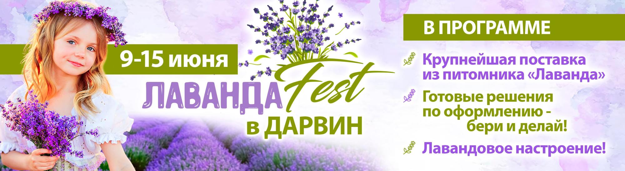 ЛавандаФест в «Дарвин» ЛавандаФест в «Дарвин»