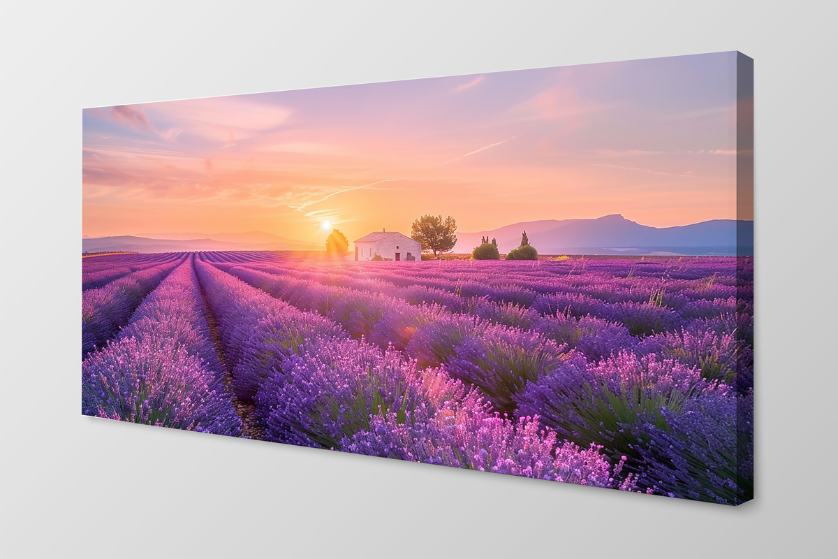 ОсновноеИзображение