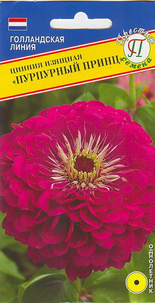 Семена цинния изящная Пурпурный принц,  Престиж 