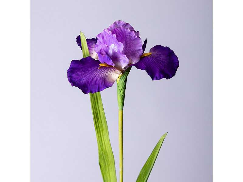 Цветок искусственный Ирис 95см, арт.287-500 по цене 