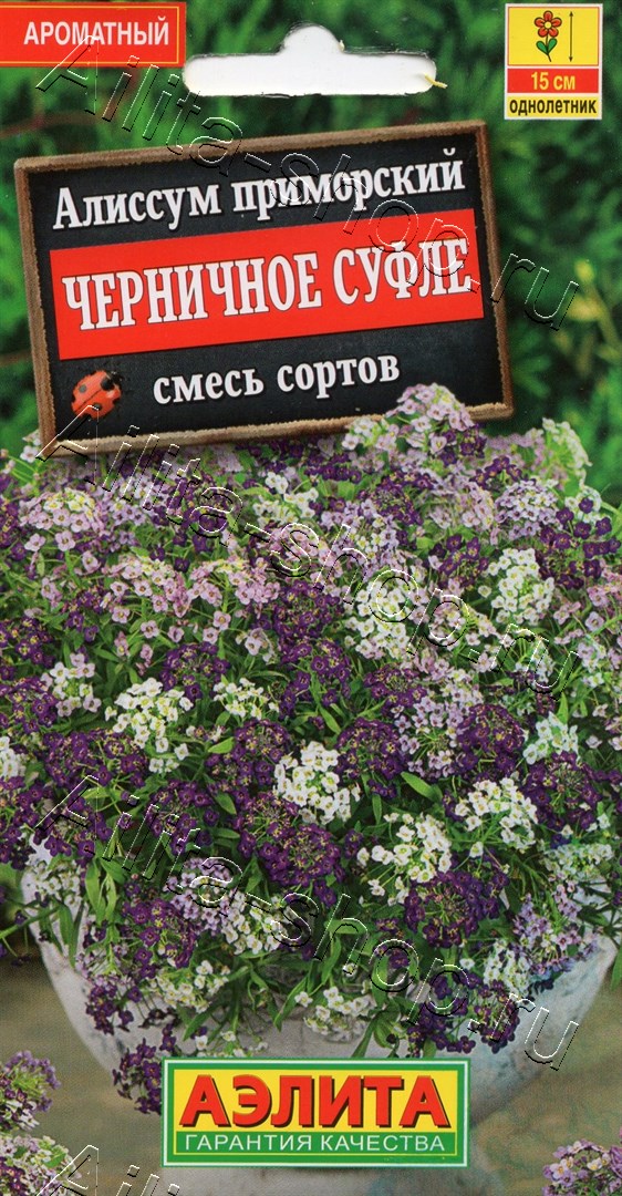 Семена Алиссум Черничное суфле, смесь сортов 0,05г Аэлита 