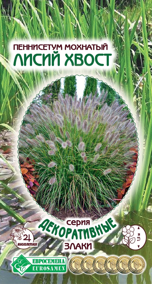 ОсновноеИзображение