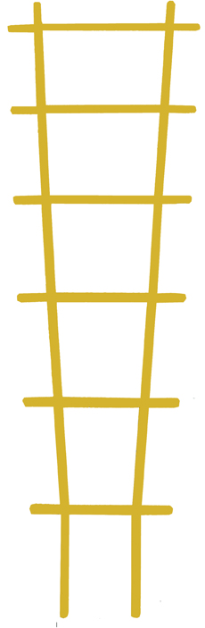 Опора Кострома Пластик Лесенка для растений пластик h-56см L-18см по цене 