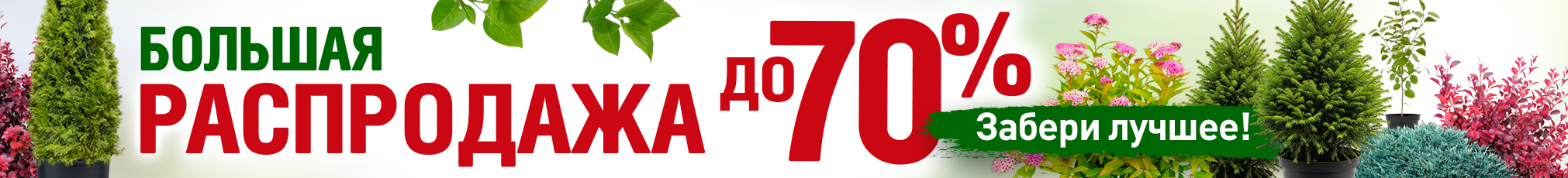 Большая распродажа