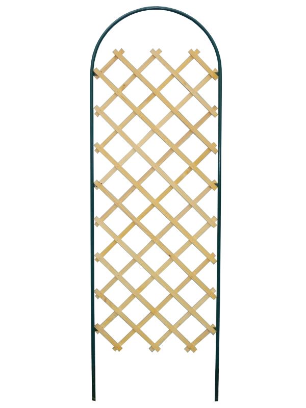 Основное изображение