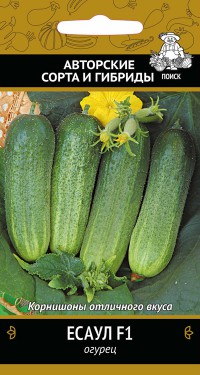 Семена огурец Есаул F1 12шт Поиск 