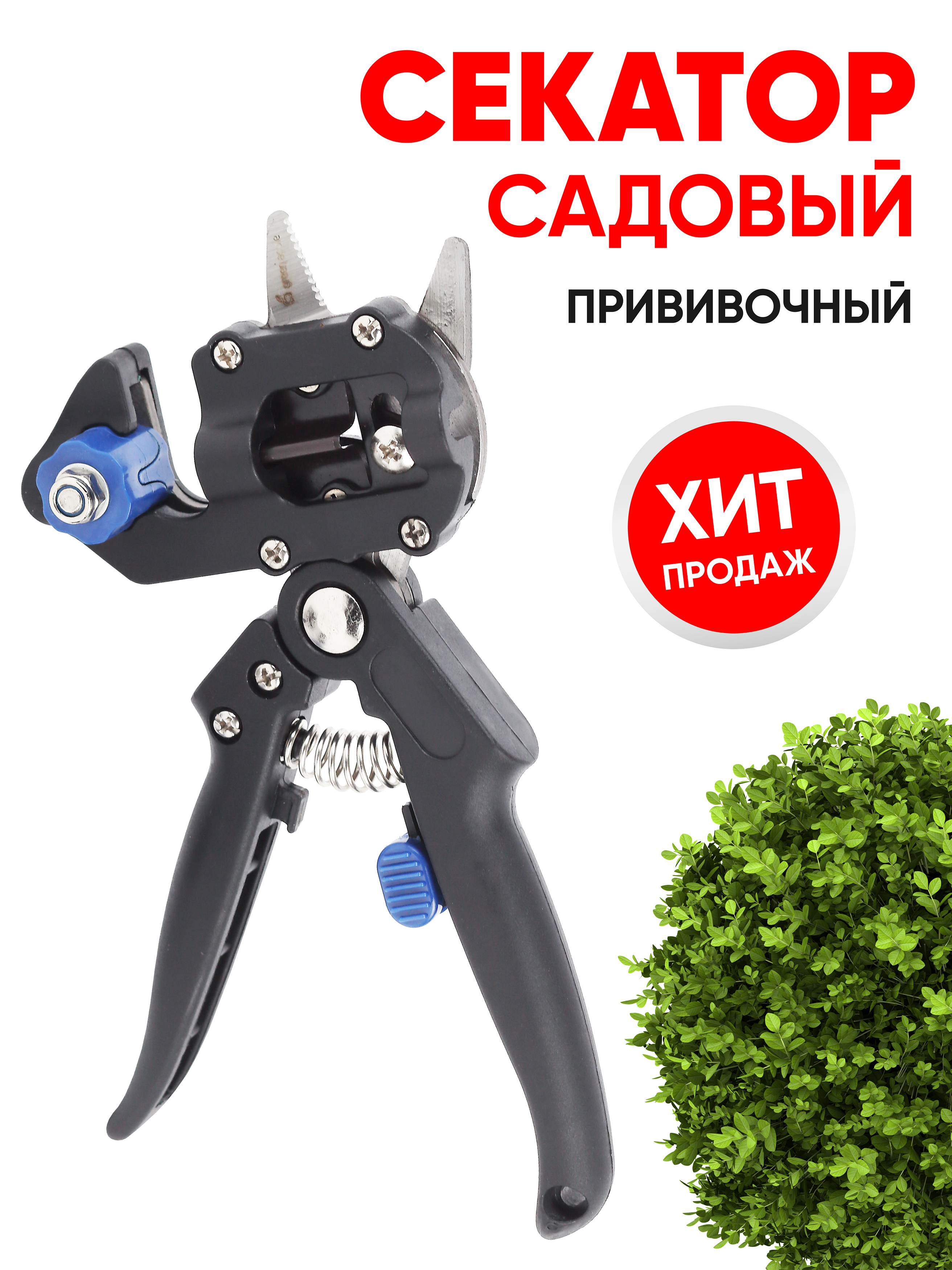 ОсновноеИзображение