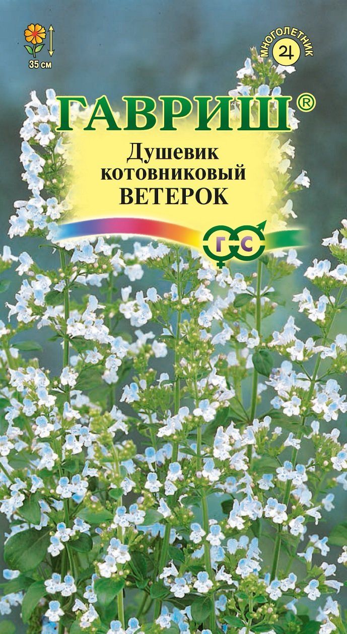 Семена Душевик котовниковый Ветерок 0,01 г Н18 Гавриш 