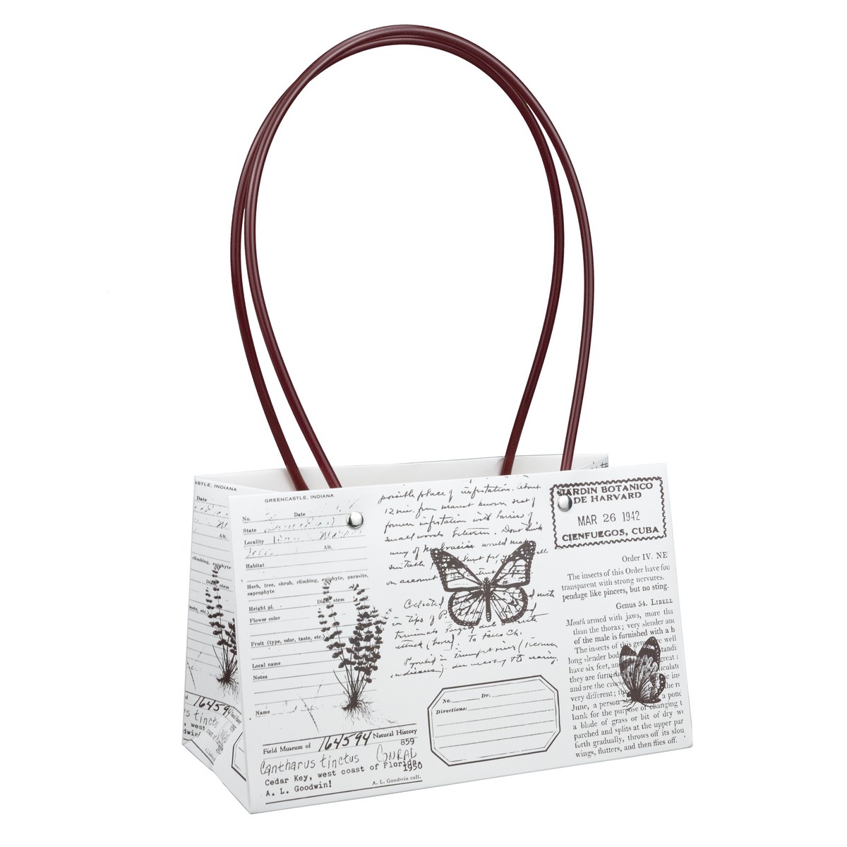 Пакет для цветов водостойкий Бабочки крафт 22х11х14см, белый/коричневый по цене 