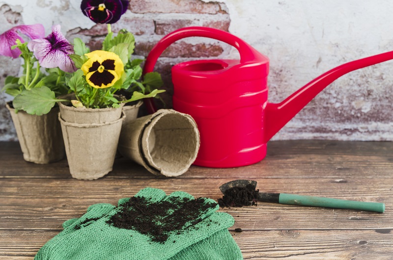 Приобретите удобрения к сезону