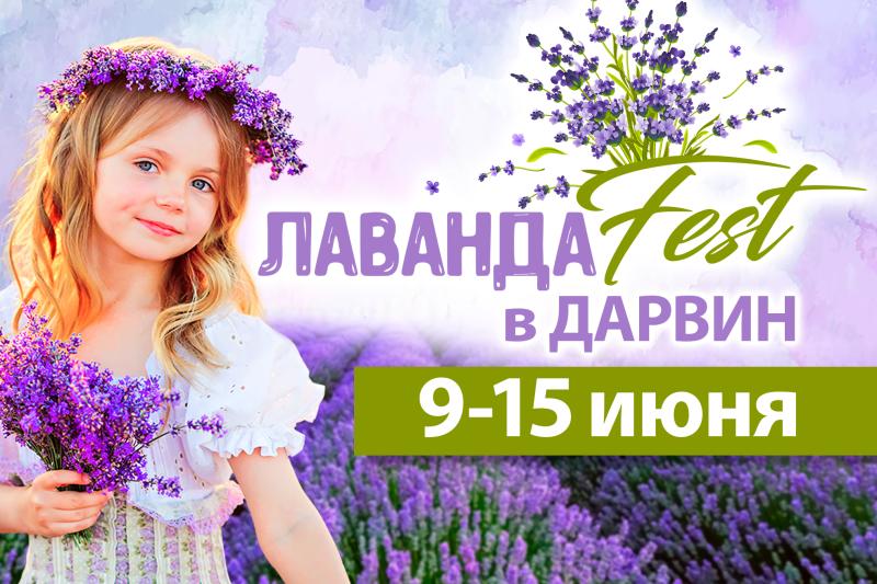 ЛавандаФест в «Дарвин»