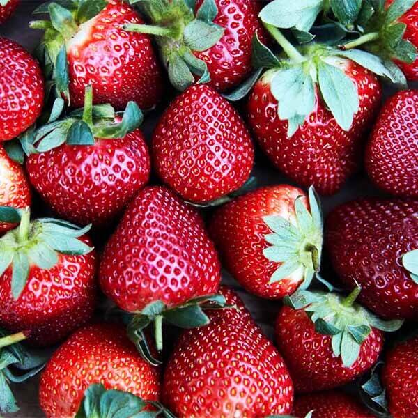 Земляника ремонтантная Сопрано d11 Tim по цене  Земляника ремонтантная Сопрано d11 Tim