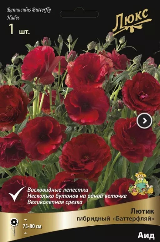 Луковица Лютик серия Баттерфляй Аид 1шт. Поиск 