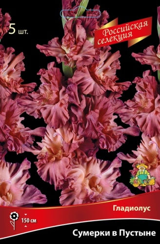 Луковица Гладиолус крупноцветковой Российская селекция Сумерки в Пустыне 5шт Поиск 
