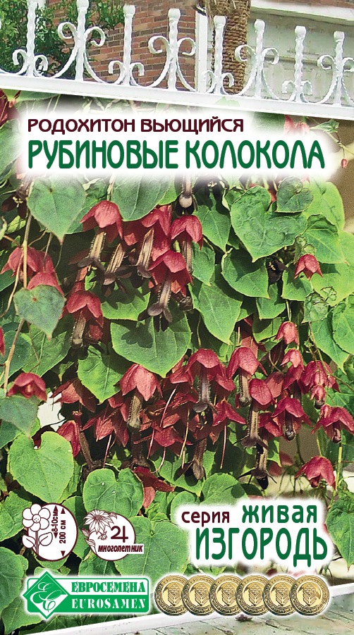 ОсновноеИзображение