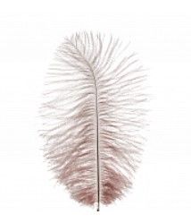 Набор перьев Страус 3шт кремовый 50-55см по цене 