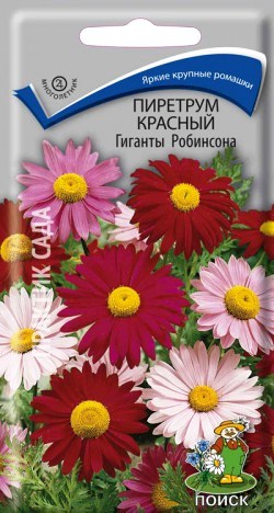 Семена пиретрум красный Гиганты Робинсона 0,2г Поиск 