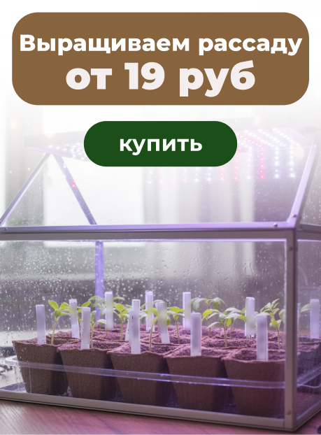 Выращиваем рассаду: лампы, парники, горшки от 19 руб!