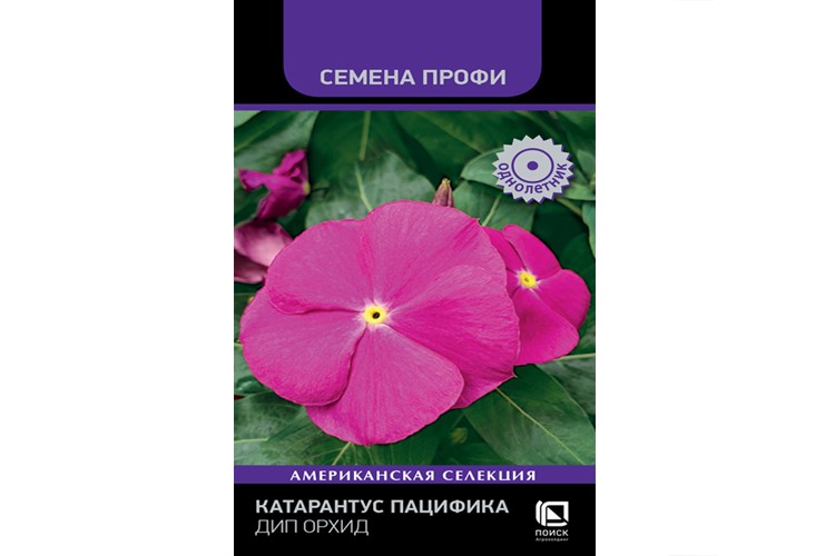 Семена Катарантус Пацифика Дип Орхид 10 шт  Поиск 