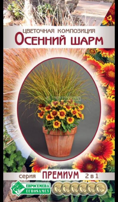 ОсновноеИзображение