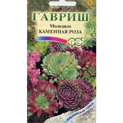 Семена Молодило Каменная Роза 0,01г Гавриш 