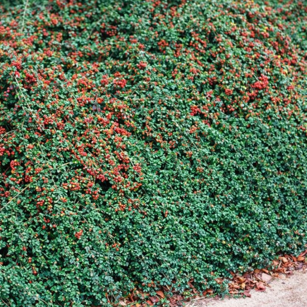 file_00000000d2f0722f9802c63bb7a3c8e0