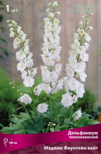 Корневище Дельфиниум тихоокеанский Мэджик Фаунтейн вайт 1 шт Поиск 