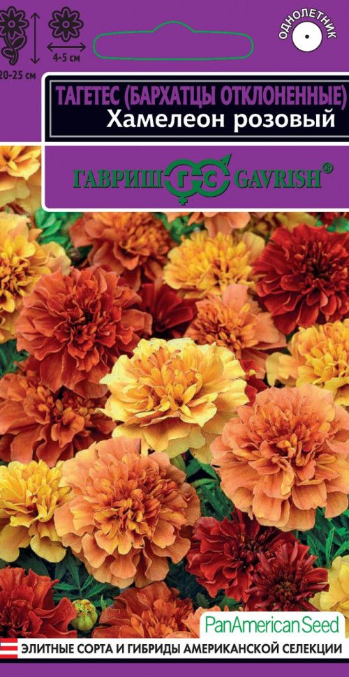 Семена бархатцы (Тагетес) откл. Хамелеон розовый 5шт серия Эксклюзив, Гавриш 