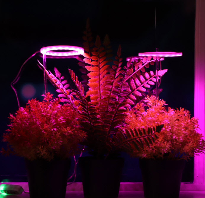 Фитосветильник для растений, светодиодный, 4 Вт, 170 мм, IP20, 5 В, USB, в горшок, 2 круга, мультисп по цене 