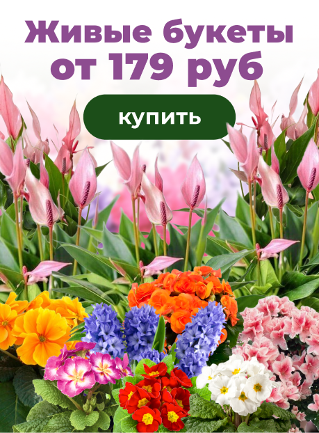 Живые букеты от 179 руб!