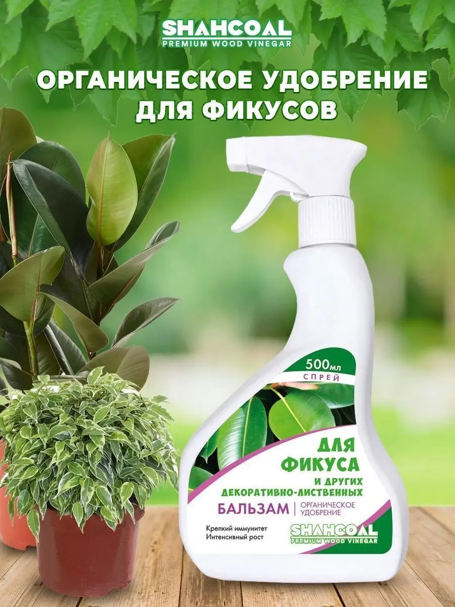 Удобрение жидкое спрей Шахкоал для фикуса и других декоративно-лиственных, 500 мл по цене 