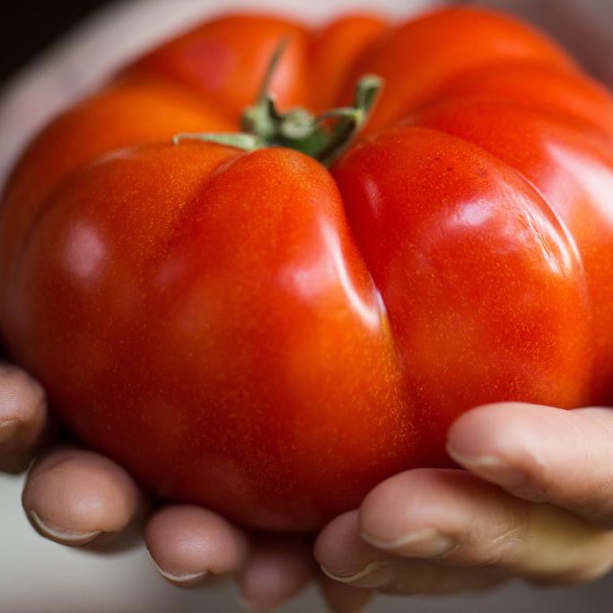 Семена томат Тяжеловес сибири(Сиб сад) в Москве и области – купить по  низкой цене в интернет-магазине Дарвин