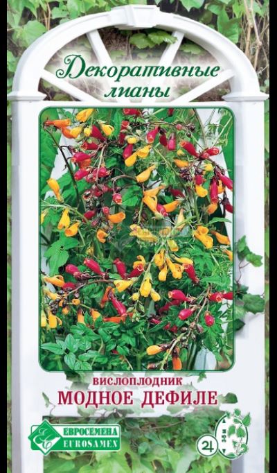 ОсновноеИзображение