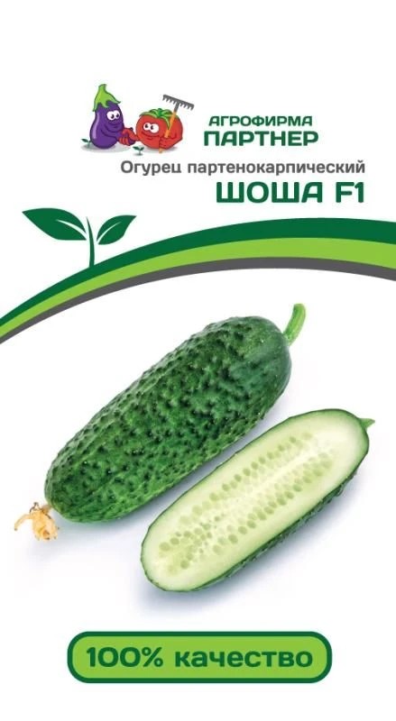 Семена Огурец партенокарпический Шоша F1 5 шт.Партнер 